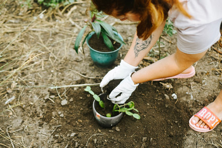 The Best Rock Types for Landscaping: A Geologic Guide for U.S. Homeowners