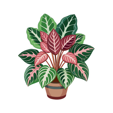 Custom Mixes for Popular Plant Types