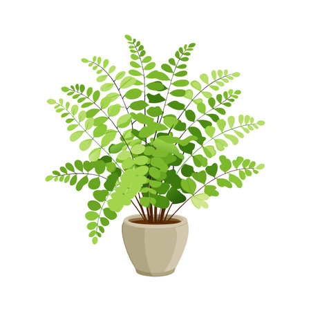 Site Selection and Soil Preparation