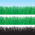 Lawn Alternatives for a Greener Planet: Low-Water Ground Covers and Hardscaping Ideas