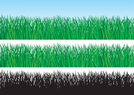 Lawn Alternatives for a Greener Planet: Low-Water Ground Covers and Hardscaping Ideas