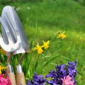 Electric vs Manual Garden Tools: Maintenance Tips for Each Type