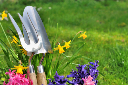 Electric vs Manual Garden Tools: Maintenance Tips for Each Type