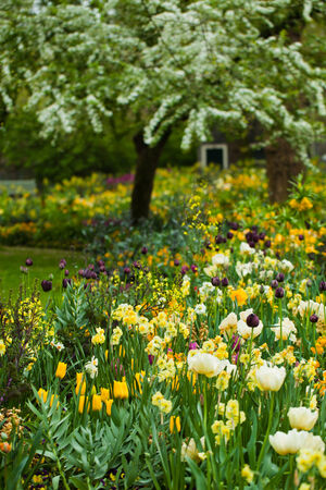 Edible Perennials to Plant in Fall for a Strong Spring Start