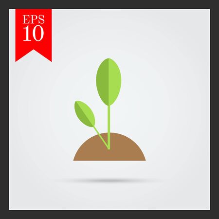 Seasonal Fertilizing Schedule: What to Do and When