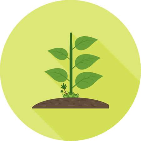 Selecting Resilient Crops for American Gardens