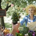 Organic Gardening Tips for a Healthy Summer Harvest