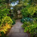 Building a Backyard Insectary: Encouraging Good Bugs to Fight the Bad Ones