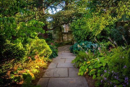 Building a Backyard Insectary: Encouraging Good Bugs to Fight the Bad Ones