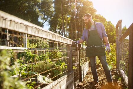 Planning for Growth: Adapting Your Garden Layout Over the Years