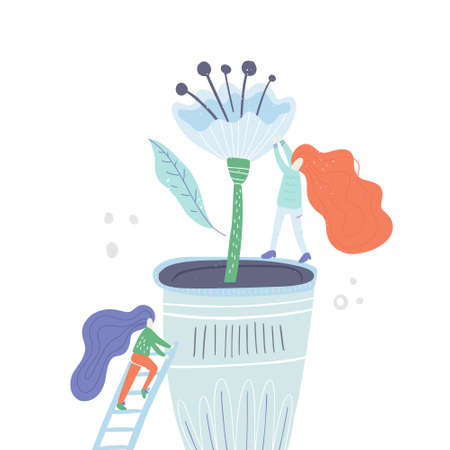 Lawn Care and Leaf Management