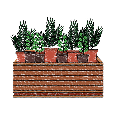 Choosing the Best Edible Plants for Urban Gardens