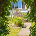 How to Use Color Themes in Container Flower Gardening