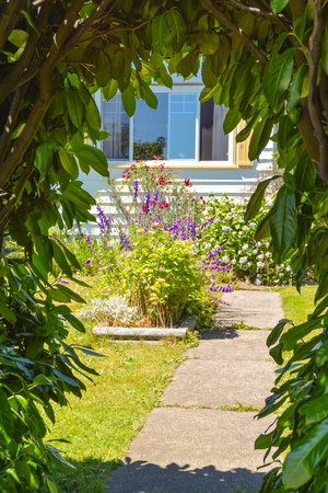 How to Use Color Themes in Container Flower Gardening