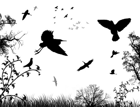Garden Layout Strategies for Pollinator Support