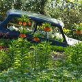 Spotting the Invaders: Identification and Management of Invasive Garden Insects in the U.S.