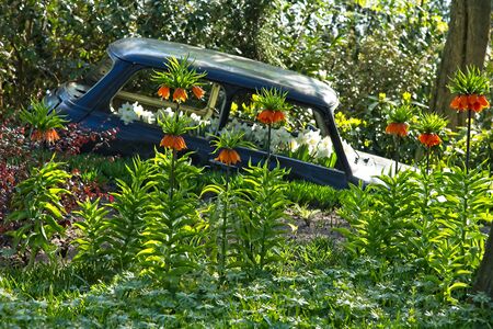 Spotting the Invaders: Identification and Management of Invasive Garden Insects in the U.S.