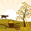 August Gardening Tasks: Fall Garden Planning and Summer Cleanup