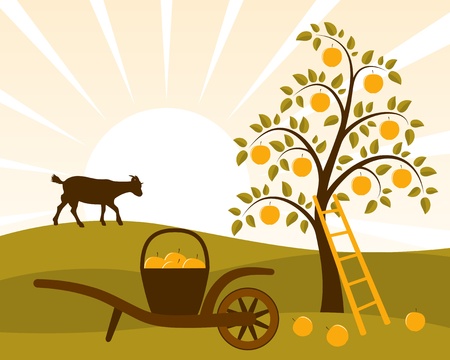 August Gardening Tasks: Fall Garden Planning and Summer Cleanup