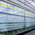 How to Scale Up Your Indoor Hydroponic System for Higher Yields