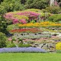 Sustainable Garden Layout Planning: Water-Wise and Eco-Friendly Approaches