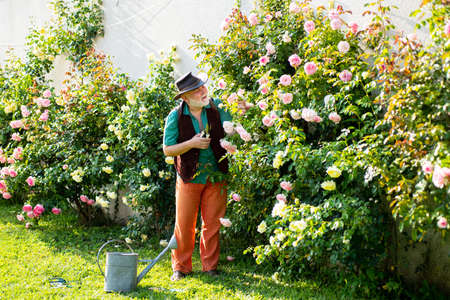 Best Fungicide Practices: When and How to Use Them Safely and Effectively