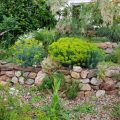 Using Raised Beds and Terracing in Rock Garden Design