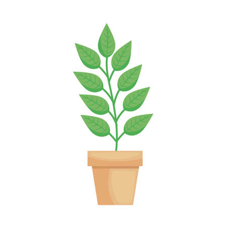 Companion Planting Errors That Can Harm Your Garden