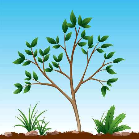 Sustainable Gardening Practices for Every Season of the Year