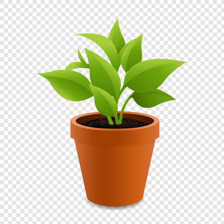 Selecting Plants for Your Theme