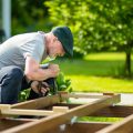Urban and Small-Space Edible Landscaping Solutions