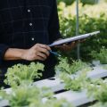 Seed Starting 101: Growing Vegetables from Seed Indoors and Outdoors