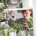 How to Propagate Indoor Plants: Step-by-Step Methods