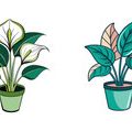 Integrated Pest Management (IPM) for Organic Gardens