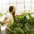 Best Containers and Pots for Indoor Herb Gardening