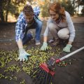 November Gardening Tasks: Winterizing Your Garden