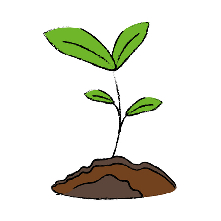 Types of Grow Lights and Their Applications