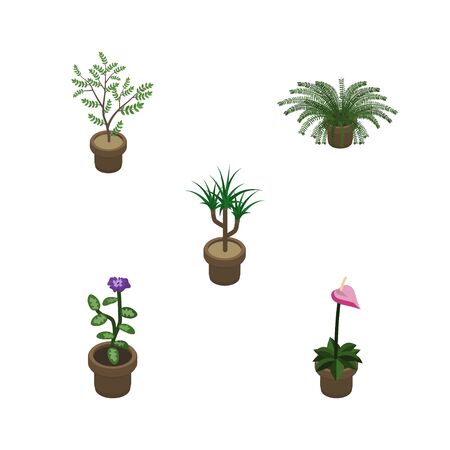 Why Native Plants Matter