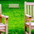 Designing a Pollinator-Friendly Garden Layout in Your Backyard