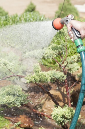 Natural Rodent Control Methods for American Homesteads and Gardens
