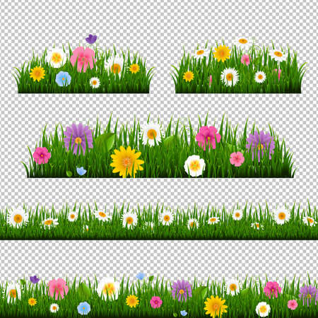 Selecting and Growing Blooms