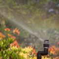 Legal Considerations and Water Regulations for Backyard Irrigation Across U.S. States