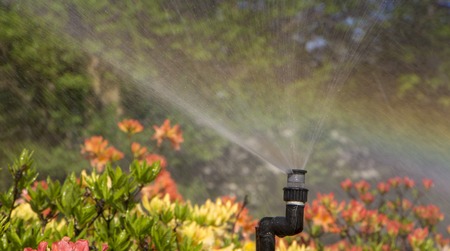 Legal Considerations and Water Regulations for Backyard Irrigation Across U.S. States