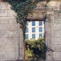 The Best Indoor Plants for Air Purification According to NASA