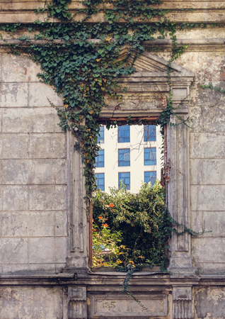The Best Indoor Plants for Air Purification According to NASA