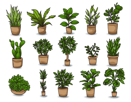 Irrigation Systems: Smart Options for Small-Space Gardens
