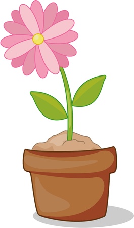 Container Gardening on a Dime: Affordable Solutions for Small Spaces