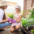 Watering Wisdom: Gardening Terms Related to Moisture and Irrigation