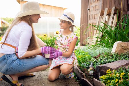 Watering Wisdom: Gardening Terms Related to Moisture and Irrigation