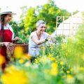 Seasonal Edible Landscaping: Year-Round Beauty and Harvests